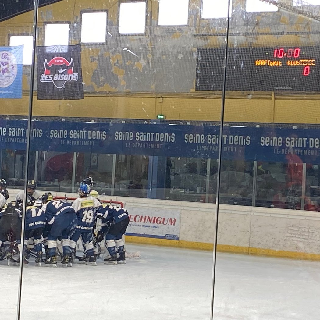Hockey Club de Neuilly-sur-Marne "Les Bisons" 3